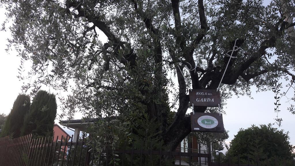 B&B Rosa Del Garda Lazise Ngoại thất bức ảnh